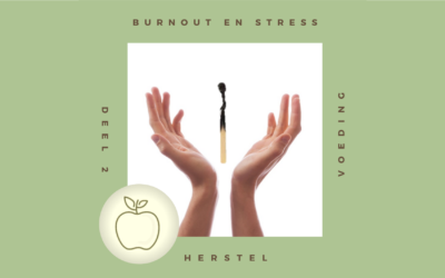 Burnout herstel (deel 2)